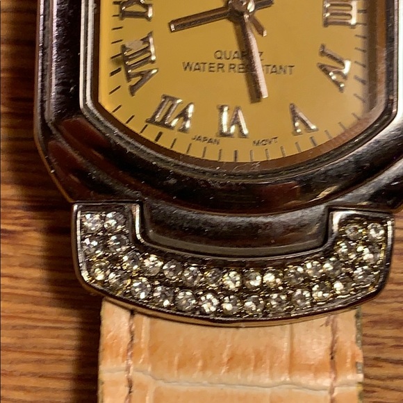 ECHO NWOT water resistant stainless leather strap main image 12
